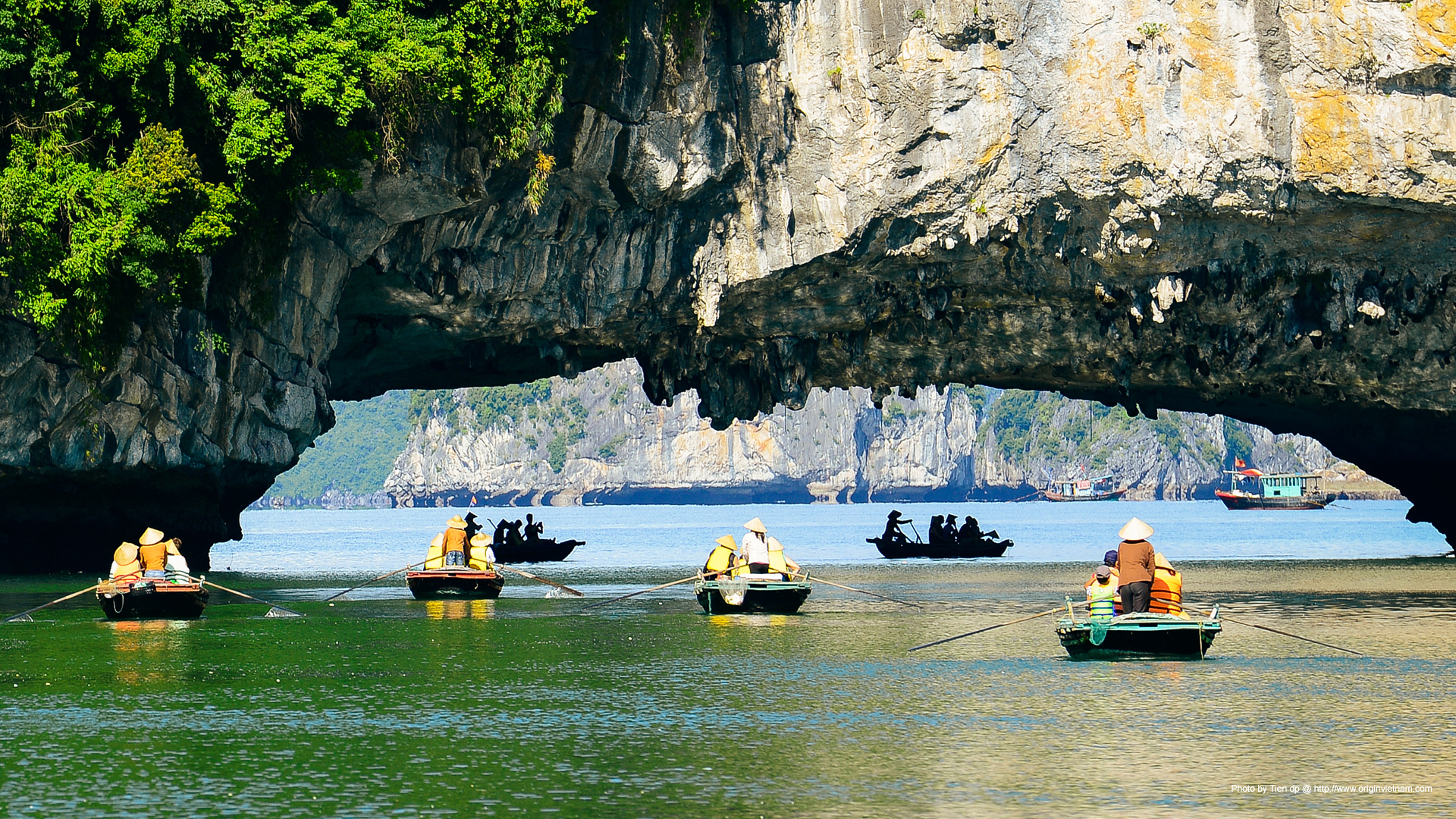 halong bay tours