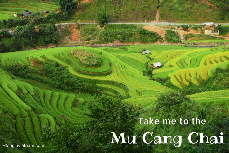Mu Cang Chai terraced fields - Yen Bai