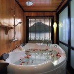 beautiful and luxurious bath tub on halong cruise