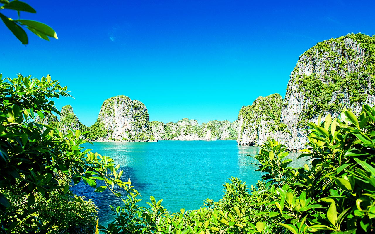 View Halong Bay from Bo Hon Cave