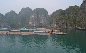 Fishing village in Lan Ha Bay via halong ay cruise