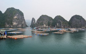 Vagia floating village in Lan Ha Bay via halong cruises